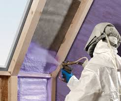 Best Spray Foam Insulation  in Natalia, TX