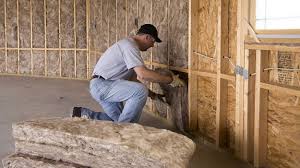 Best Insulation for New Construction  in Natalia, TX